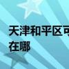 天津和平区可提供小松鼠壁挂炉维修服务地址在哪