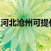 河北沧州可提供庆东壁挂炉维修服务地址在哪