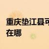 重庆垫江县可提供格兰仕洗碗机维修服务地址在哪