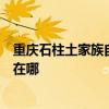 重庆石柱土家族自治县可提供港华紫荆壁挂炉维修服务地址在哪