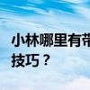 小林哪里有带厨房的单身公寓？单身公寓装修技巧？