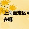 上海嘉定区可提供小松鼠壁挂炉维修服务地址在哪