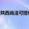 陕西商洛可提供半球壁挂炉维修服务地址在哪