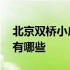 北京双桥小户型房 北京双桥一室一厅二手房有哪些 