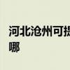 河北沧州可提供菲斯曼壁挂炉维修服务地址在哪