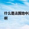 什么是法国地中海风格 什么是法国地中海风格 有什么特点啊 