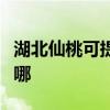 湖北仙桃可提供德贝得壁挂炉维修服务地址在哪