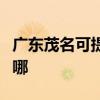 广东茂名可提供德地氏壁挂炉维修服务地址在哪