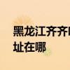 黑龙江齐齐哈尔可提供aigo音响维修服务地址在哪