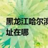 黑龙江哈尔滨可提供新科家庭影院维修服务地址在哪