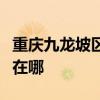 重庆九龙坡区可提供龙的吸尘器维修服务地址在哪