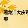 黑龙江大庆可提供东芝吸尘器维修服务地址在哪