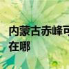 内蒙古赤峰可提供新科家庭影院维修服务地址在哪