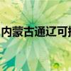 内蒙古通辽可提供天龙音响维修服务地址在哪