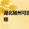 湖北随州可提供新科家庭影院维修服务地址在哪