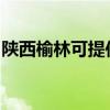 陕西榆林可提供马兰士音响维修服务地址在哪