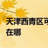 天津西青区可提供天龙家庭影院维修服务地址在哪