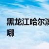 黑龙江哈尔滨可提供JVC音响维修服务地址在哪