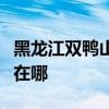 黑龙江双鸭山可提供铁三角音响维修服务地址在哪
