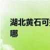 湖北黄石可提供SKG吸尘器维修服务地址在哪