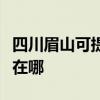 四川眉山可提供飞利浦家庭影院维修服务地址在哪