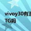 vivoy30有没有拥有otg功能 vivoy30支持OTG吗 