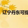 辽宁丹东可提供奥普浴霸维修服务地址在哪
