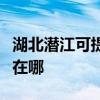 湖北潜江可提供万家乐抽油烟机维修服务地址在哪