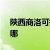 陕西商洛可提供SKG微波炉维修服务地址在哪