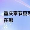 重庆奉节县可提供每时乐微波炉维修服务地址在哪