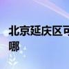 北京延庆区可提供德意微波炉维修服务地址在哪