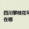 四川攀枝花可提供德意抽油烟机维修服务地址在哪