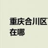 重庆合川区可提供SKG微波炉维修服务地址在哪