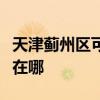 天津蓟州区可提供海尔抽油烟机维修服务地址在哪