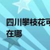 四川攀枝花可提供康宝抽油烟机维修服务地址在哪