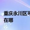重庆永川区可提供格兰仕微波炉维修服务地址在哪