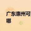 广东惠州可提供SKG微波炉维修服务地址在哪