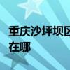 重庆沙坪坝区可提供灿坤微波炉维修服务地址在哪