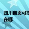 四川自贡可提供西门子抽油烟机维修服务地址在哪