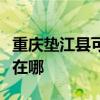 重庆垫江县可提供艾美特电磁炉维修服务地址在哪