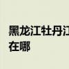 黑龙江牡丹江可提供东菱电磁炉维修服务地址在哪