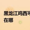黑龙江鸡西可提供博世抽油烟机维修服务地址在哪