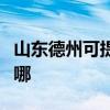 山东德州可提供红牌抽油烟机维修服务地址在哪