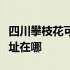 四川攀枝花可提供格兰仕抽油烟机维修服务地址在哪