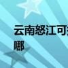 云南怒江可提供SKG电磁炉维修服务地址在哪