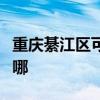 重庆綦江区可提供东菱电磁炉维修服务地址在哪