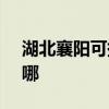 湖北襄阳可提供SKG电磁炉维修服务地址在哪