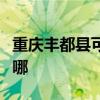 重庆丰都县可提供康宝电磁炉维修服务地址在哪
