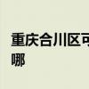 重庆合川区可提供松下电磁炉维修服务地址在哪