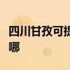 四川甘孜可提供荣事达电磁炉维修服务地址在哪